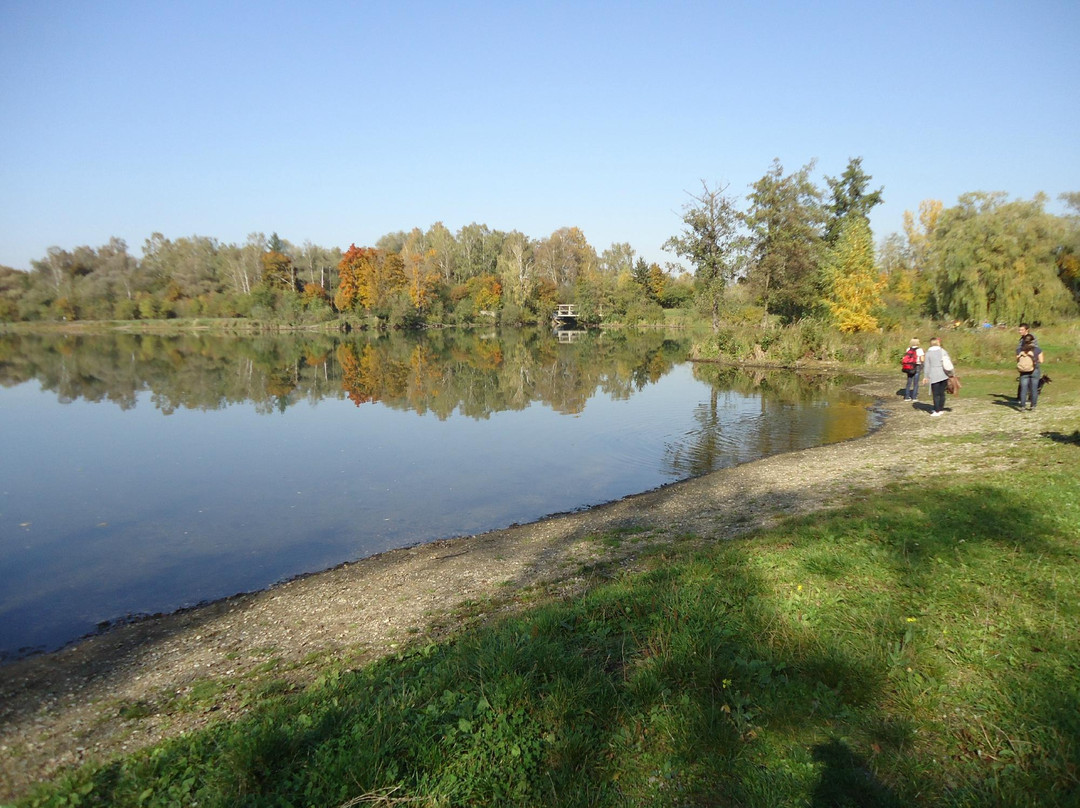 Central Bohemian Region旅游景点-St. George Forest (Svatojirsky les)
