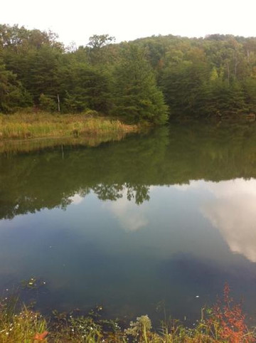 Jefferson Memorial Forest-Fairdale必去景点