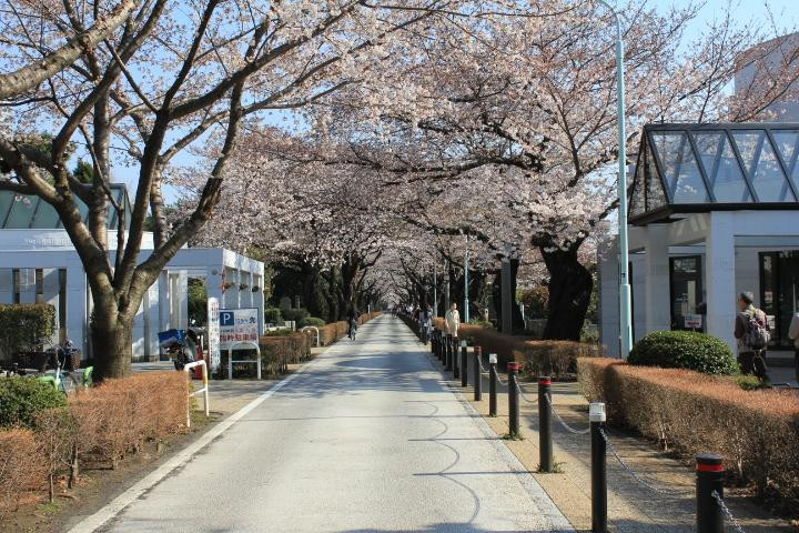 Tokyo Bicycle Tour-Nakameguro必去景点