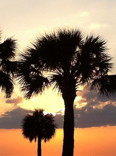 Pine Island Park-Weeki Wachee必去景点