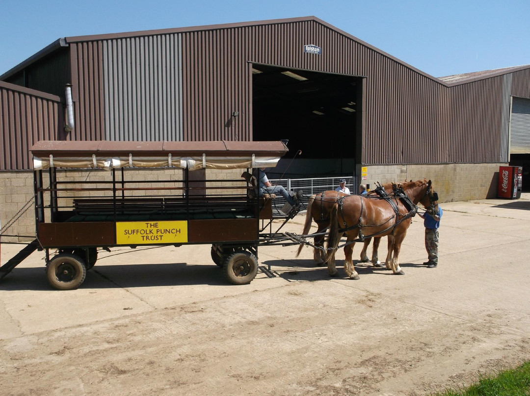 Suffolk Punch Trust-Hollesley必去景点