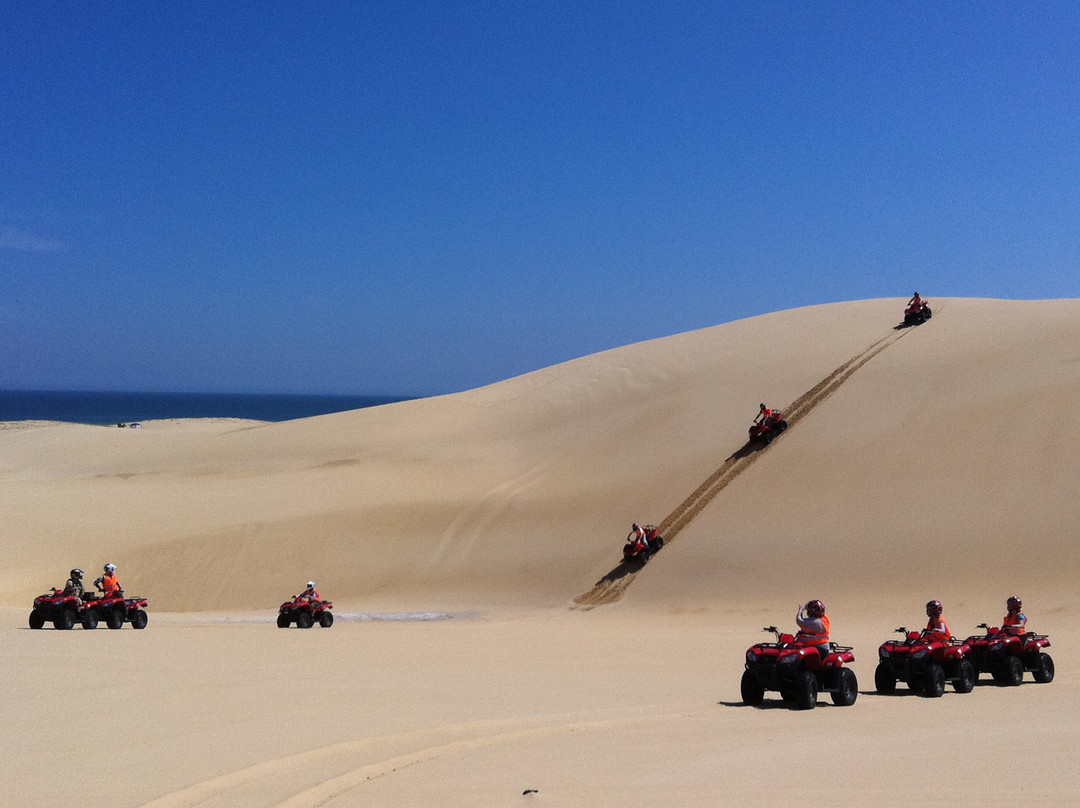 Sand Dune Adventures - Tours景点图片