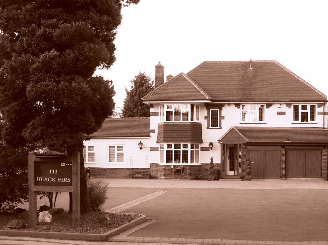 Black Firs Guesthouse主图