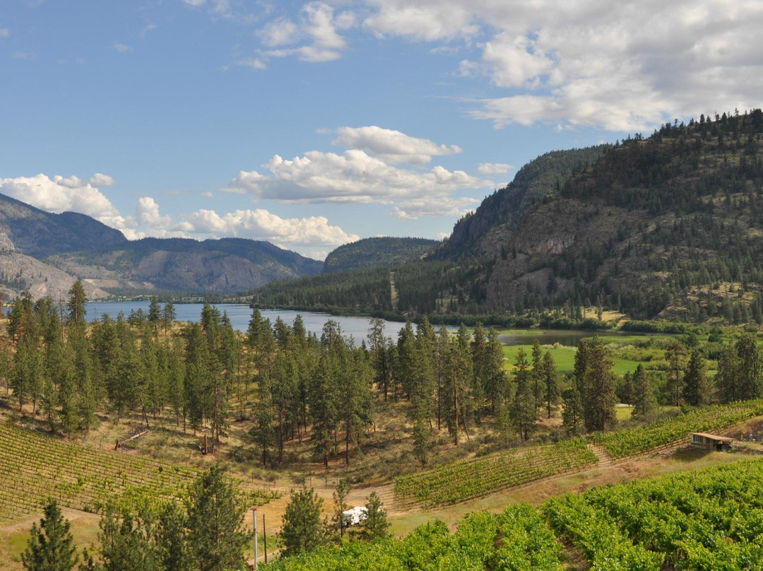 Noble Ridge Vineyard and Winery景点图片