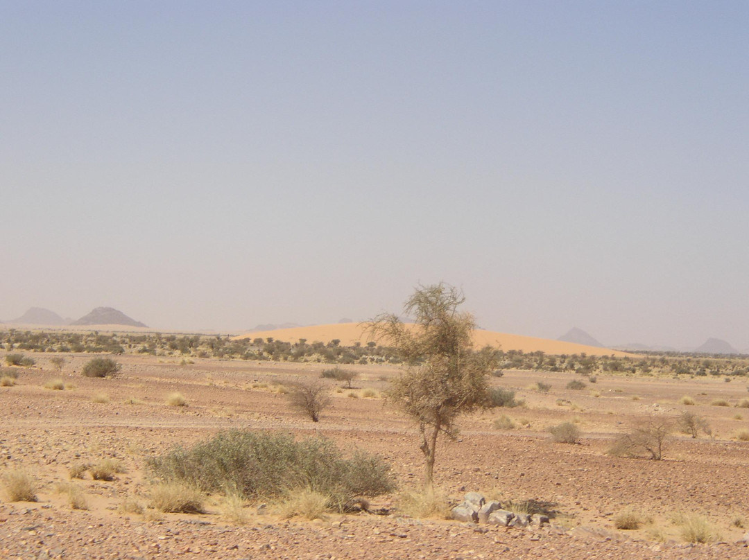 Mauritania Sahara景点图片