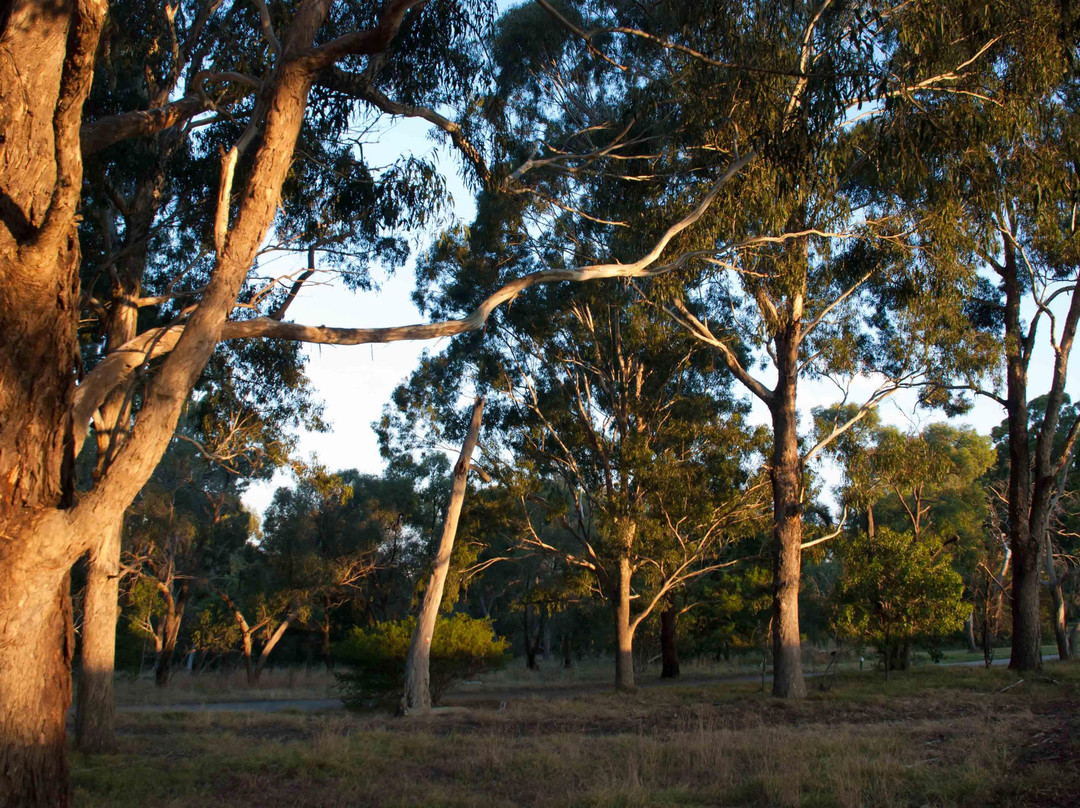 沃特公园-墨尔本必去景点