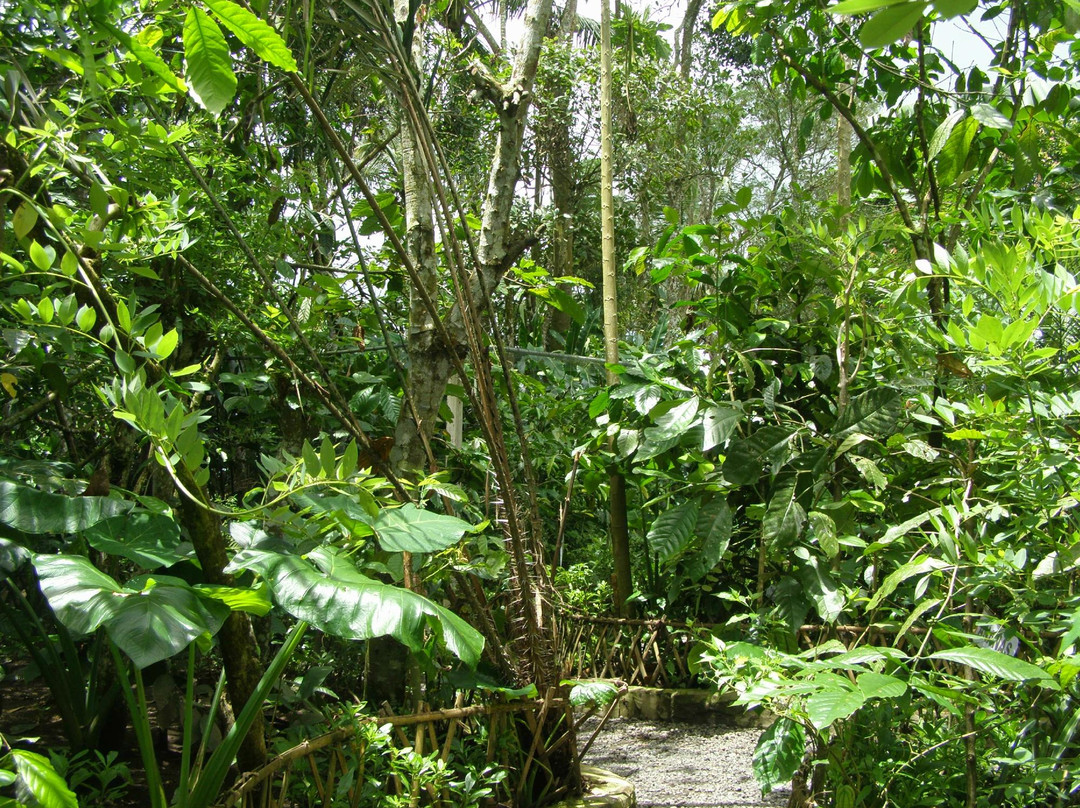 Buana Amertha Sari (BAS)-邦利必去景点