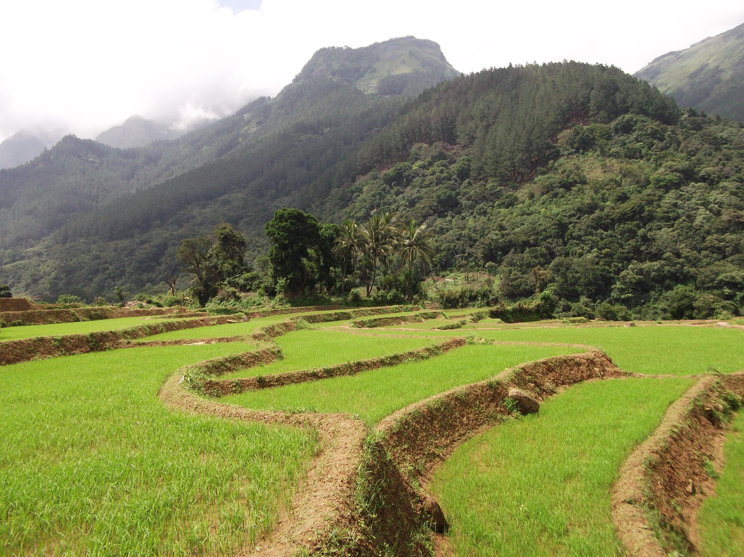 Knuckles Conservation Forest-Kandy District必去景点