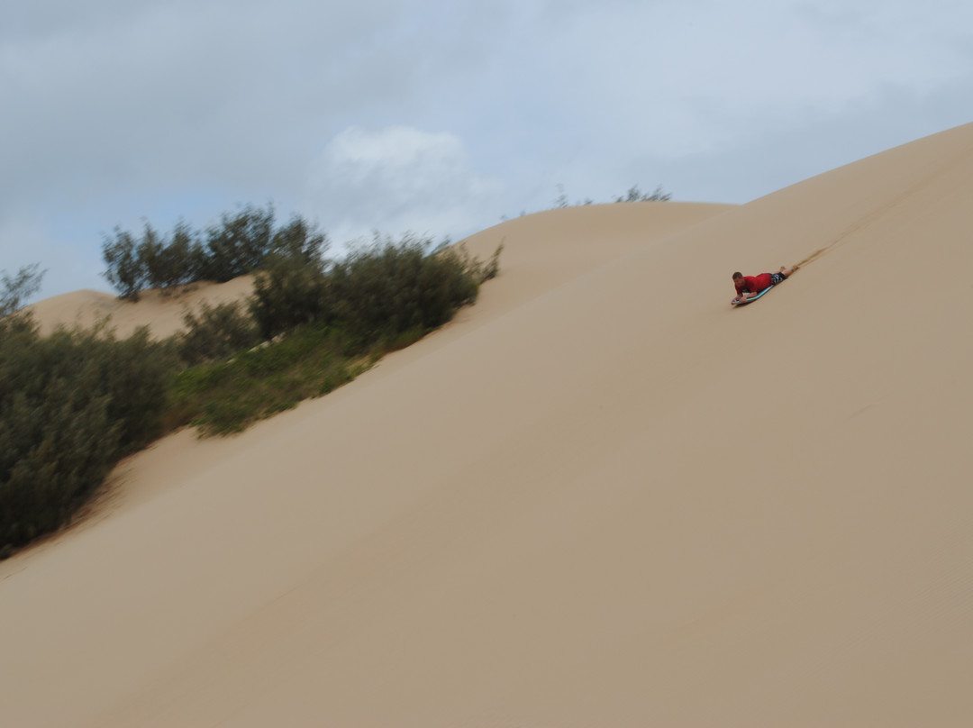 1770 LARC! Tours-1770镇必去景点