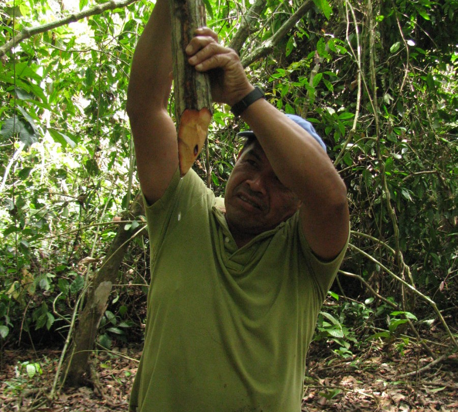 Fluvial Tours-Rurrenabaque必去景点