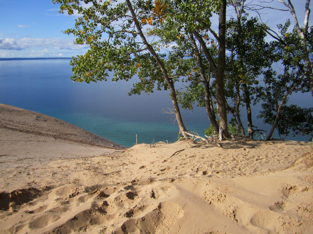 Snowbird Inn Bed & Breakfast主图