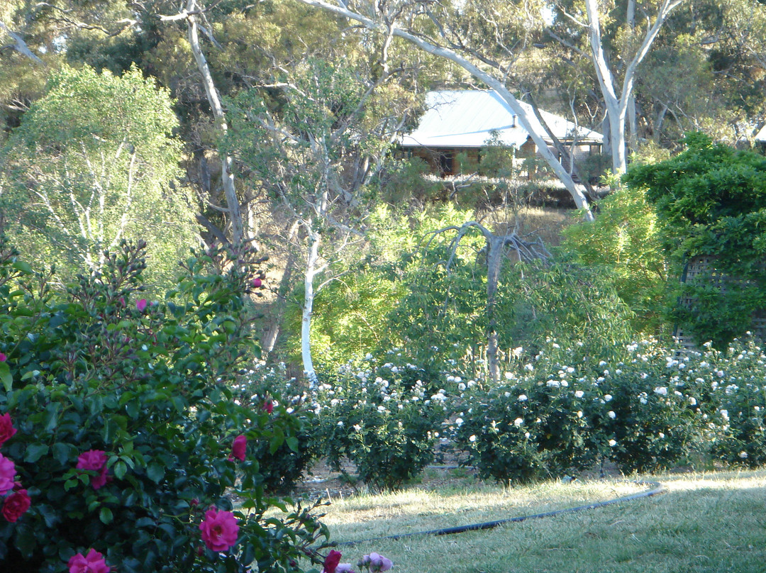 Battunga Cottages主图