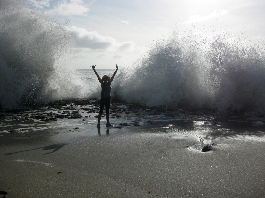 Blowing Rocks Nature Preserve-朱庇特必去景点