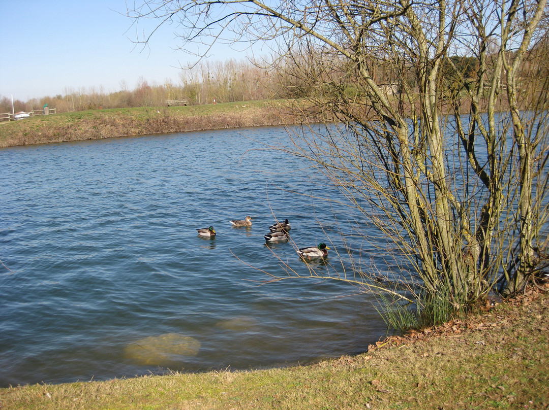 Lac de Trizay景点图片