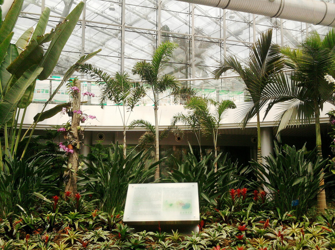 中山植物园-南京市必去景点