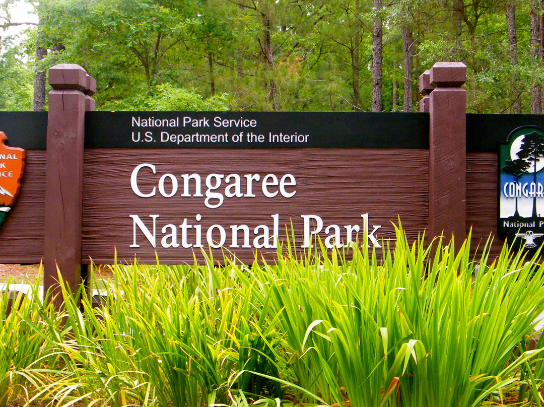 Congaree National Park景点图片