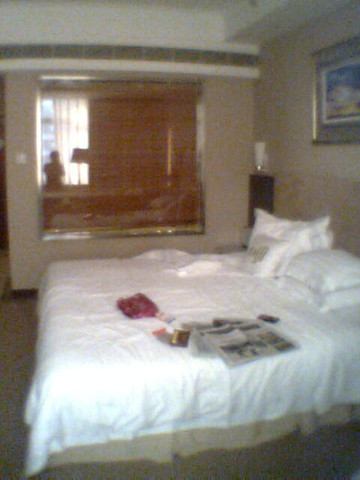 君逸康年大酒店主图