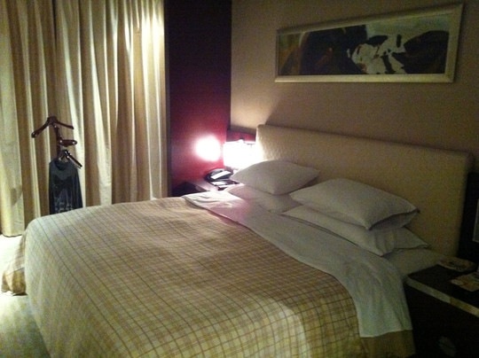 杭州龙禧福朋喜来登酒店主图