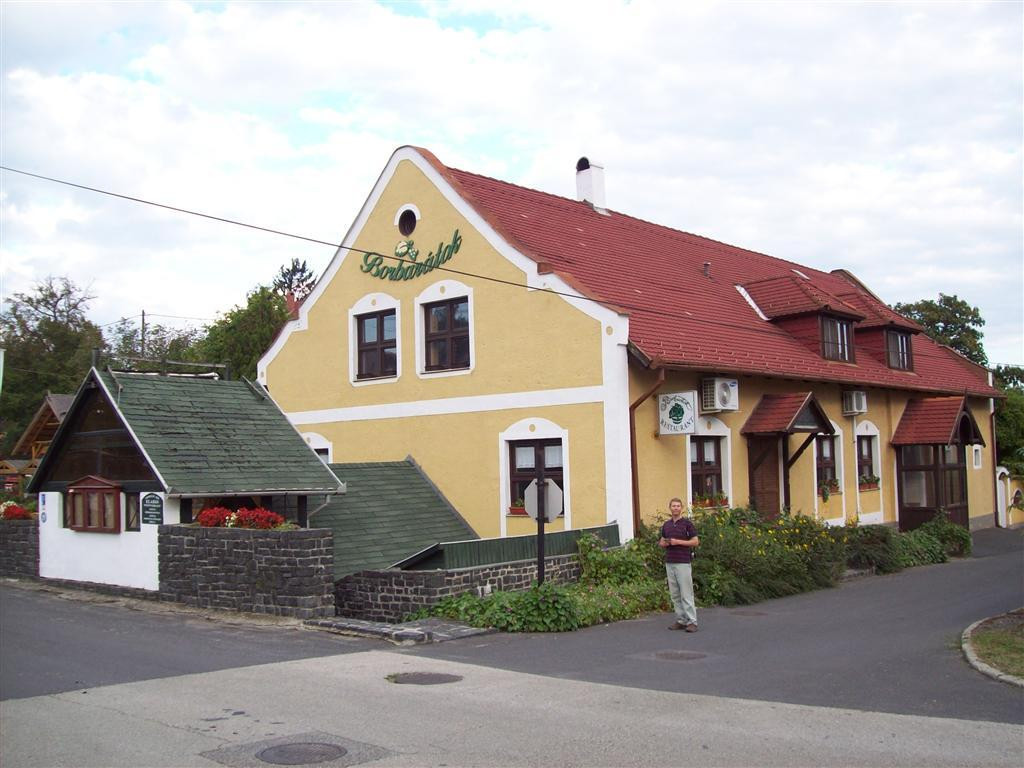 Borbaratok Panzio主图
