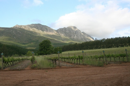 Delheim-斯泰伦博斯必去景点