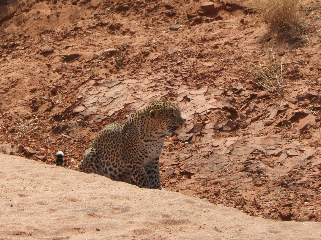 F. King Tours & Safaris-蒙巴萨必去景点