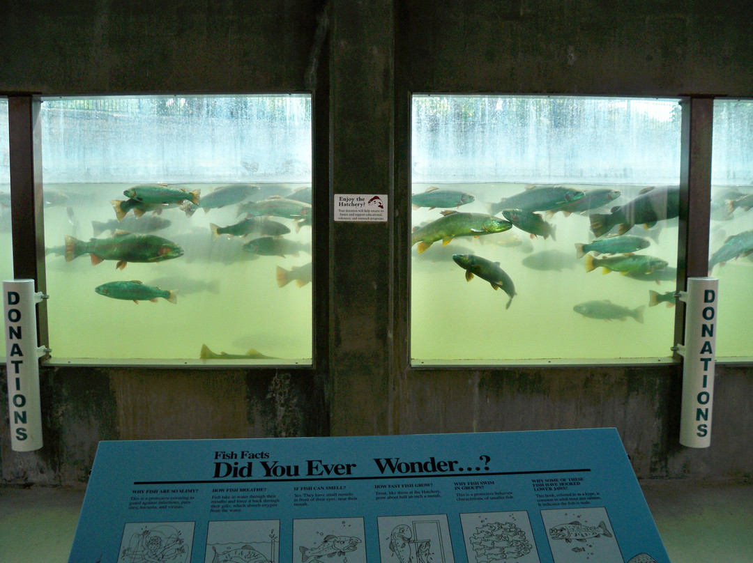 D.C. Booth Historic National Fish Hatchery-Spearfish必去景点