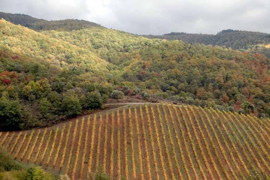 Cantina Castelvecchi in Chianti-拉达因基安蒂必去景点