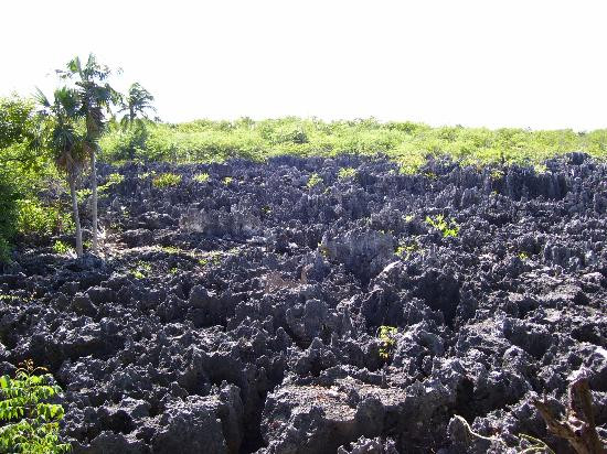 地狱-大开曼岛必去景点