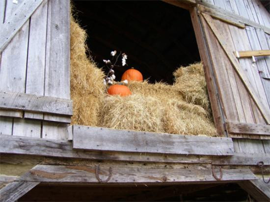 Parker Pioneer Homestead-Harrisburg必去景点