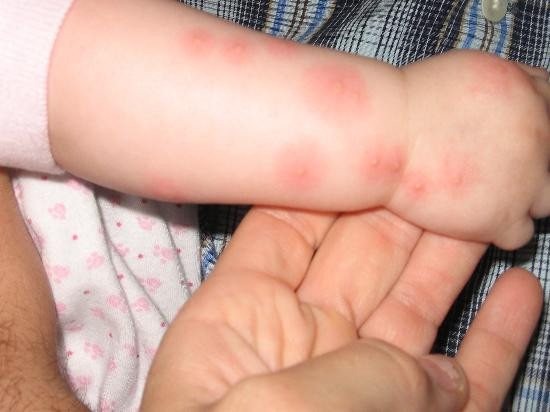 Universal Resorts Kissimmee主图