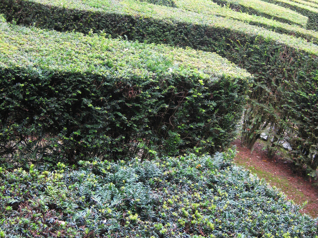 Van Buuren Museum & Gardens-布鲁塞尔必去景点