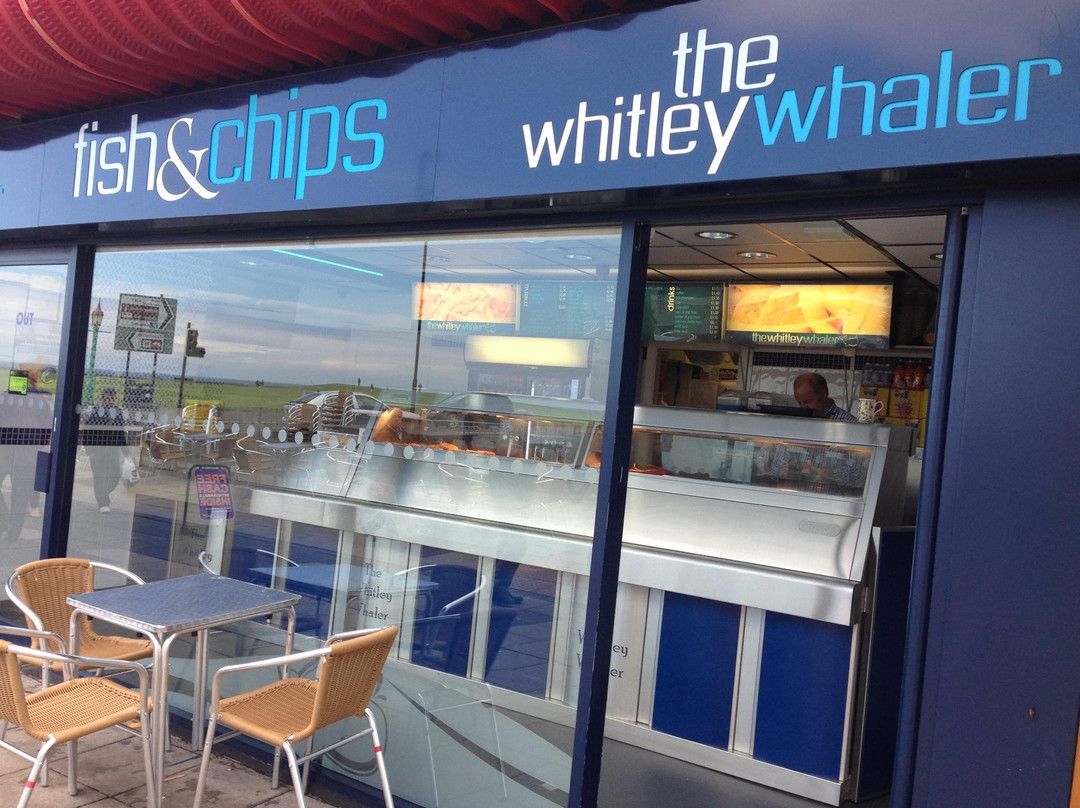 The Whitley Whaler
