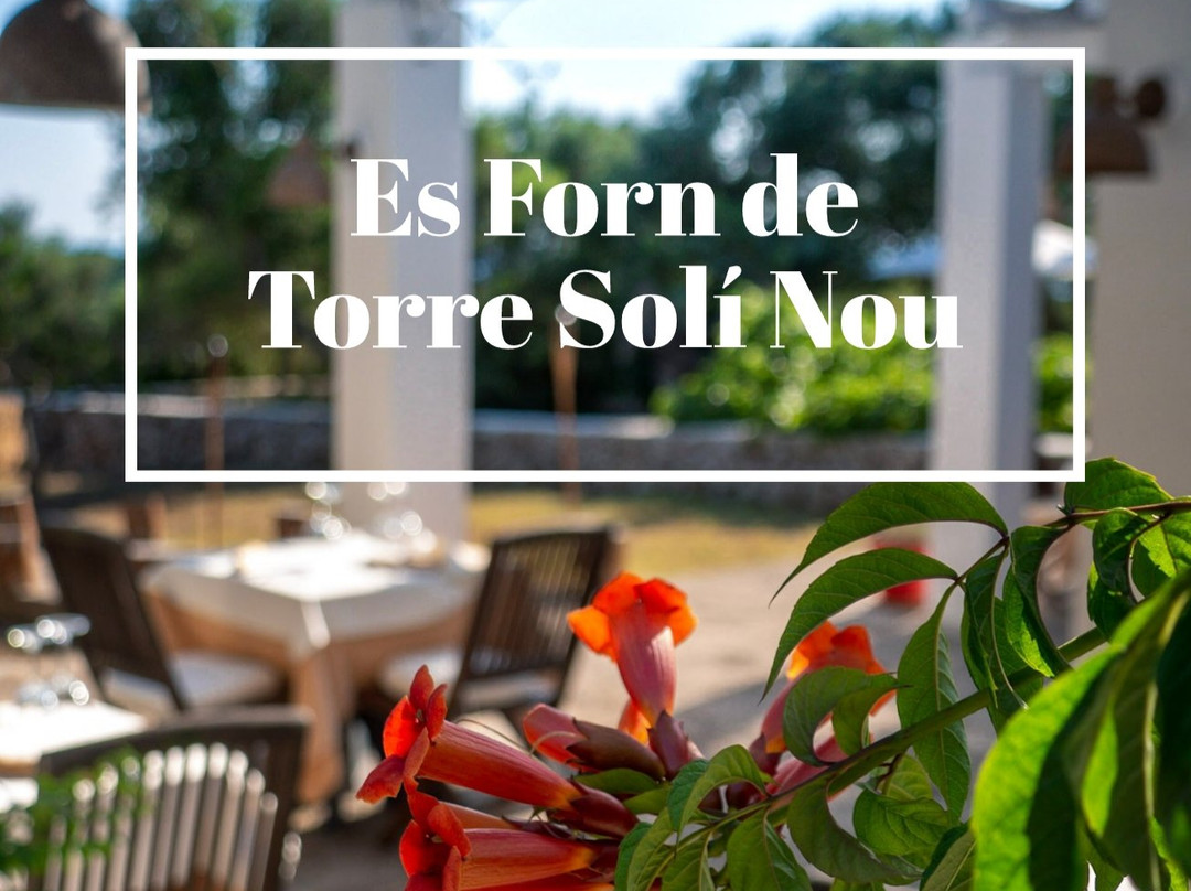 Es Forn de Torre Solí Nou
