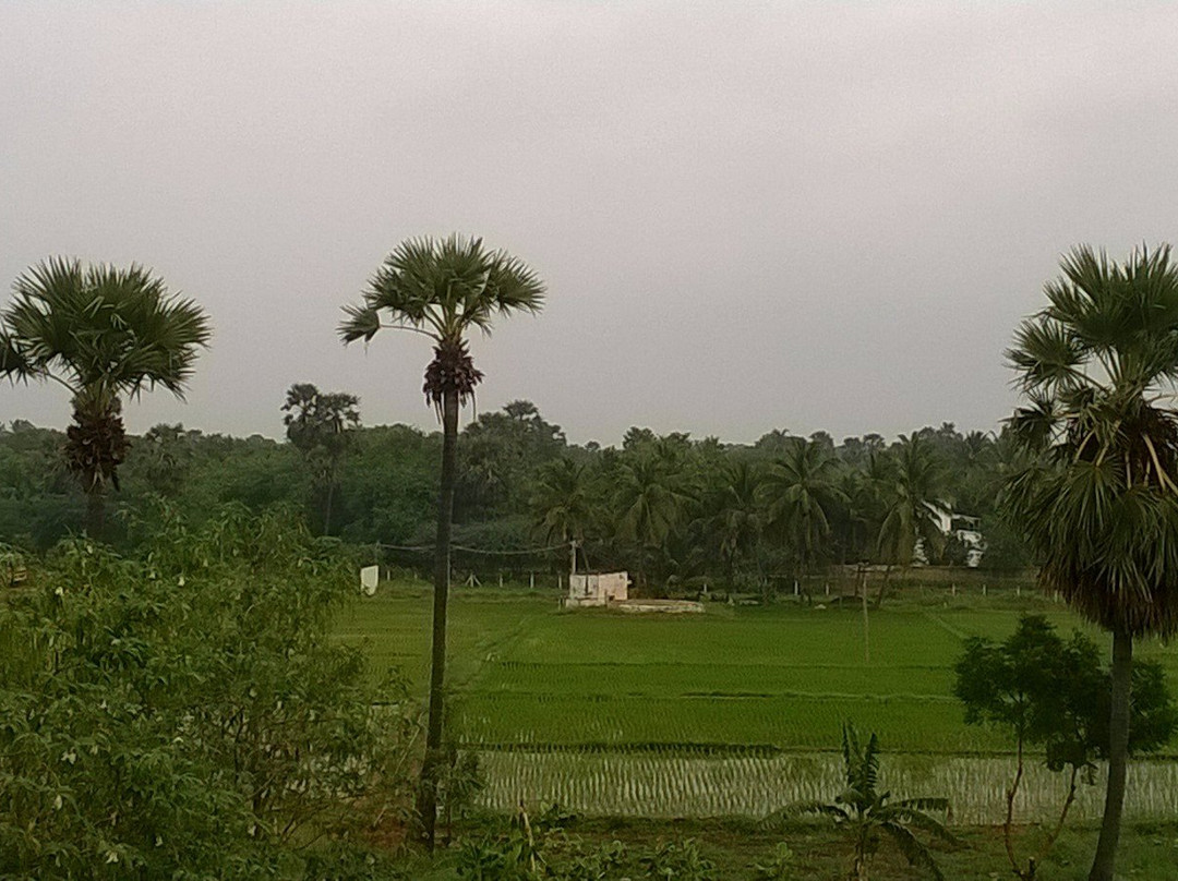 Hotel Chendur Murugan