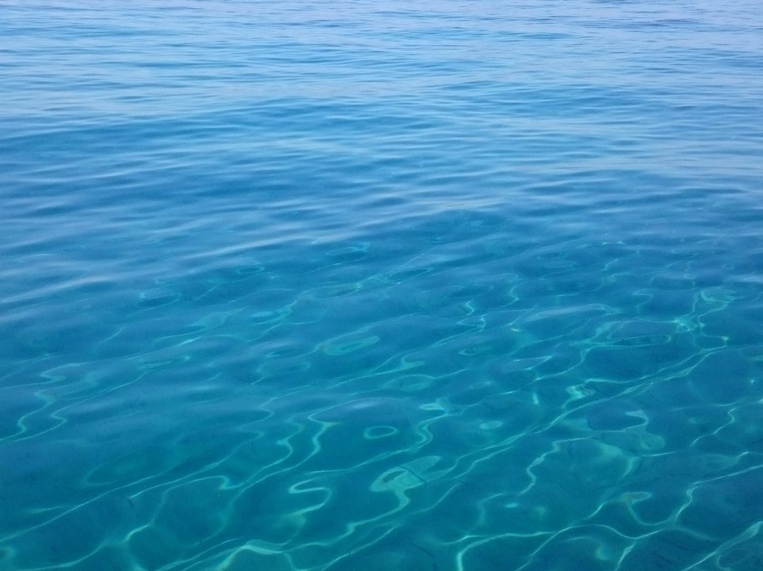 Agios Georgios餐馆和美食-To Agiorgitikon