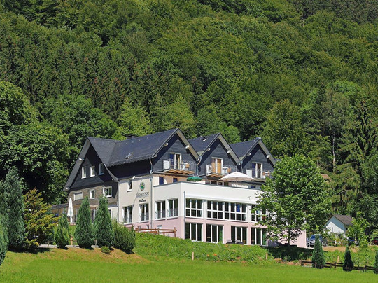 Olsberg餐馆和美食-Schinkenwirt