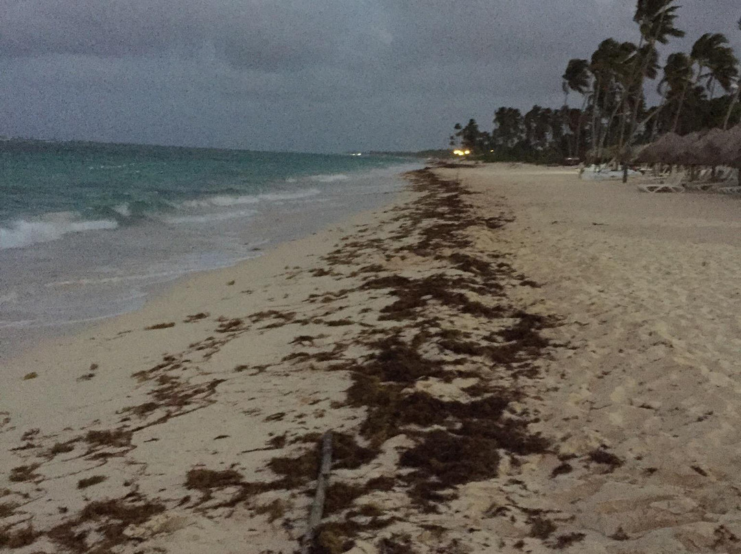 Hotel Club Majestic Resort