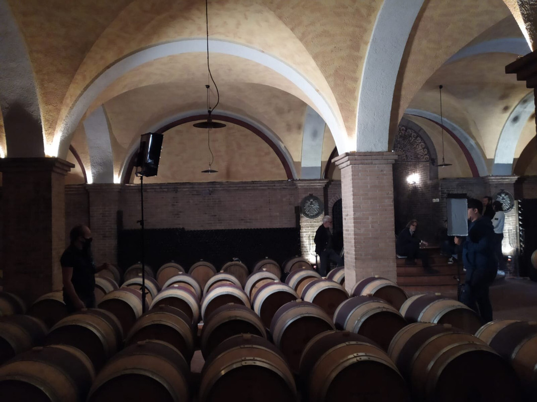 Azienda Vinicola Russiz Superiore景点图片