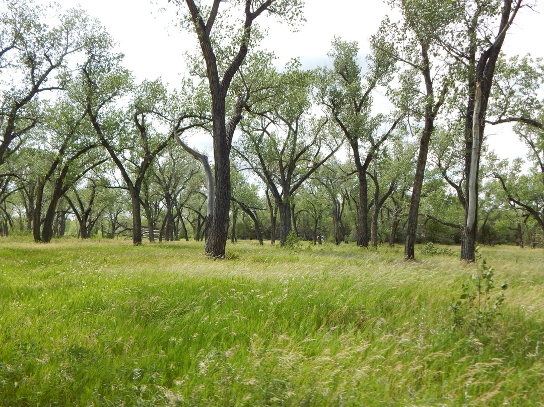 Juniper Campground