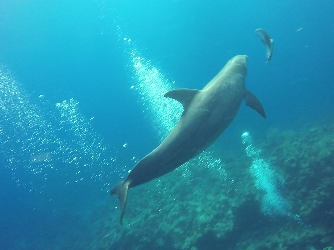 Aqua TCI-普罗维登西亚莱斯必去景点