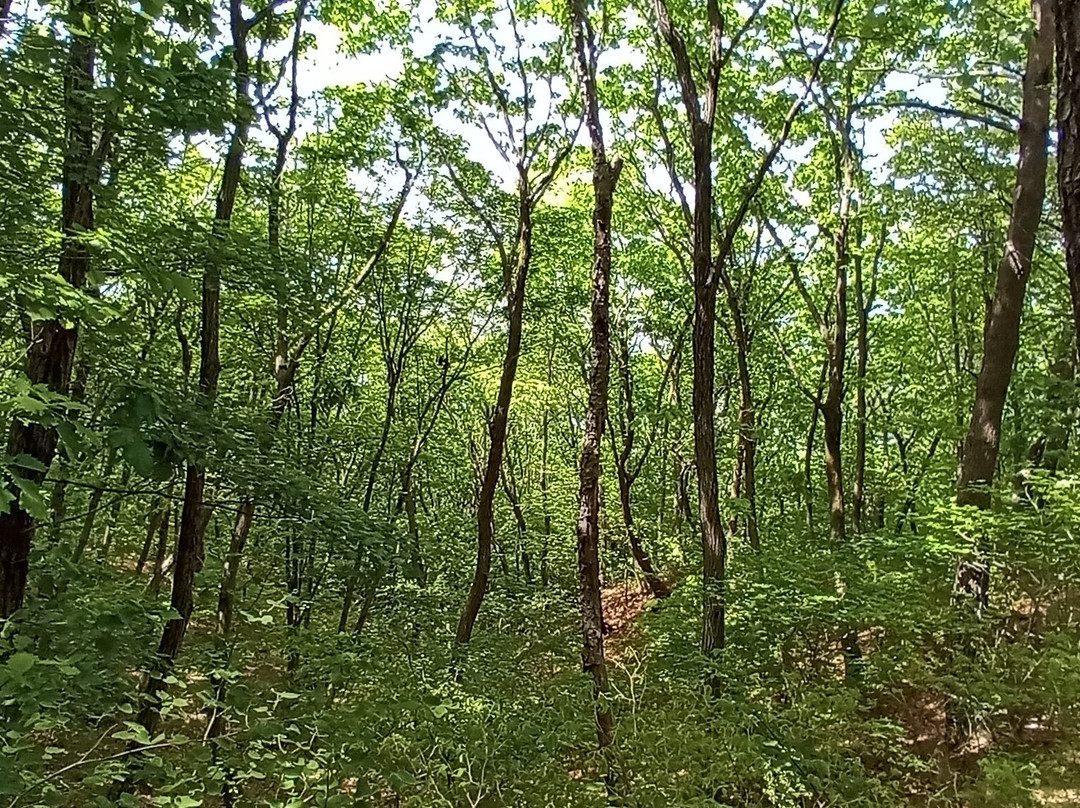 Gamaksan-原州市必去景点