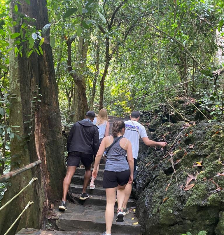 Phong Nha Tour To The Caves景点图片