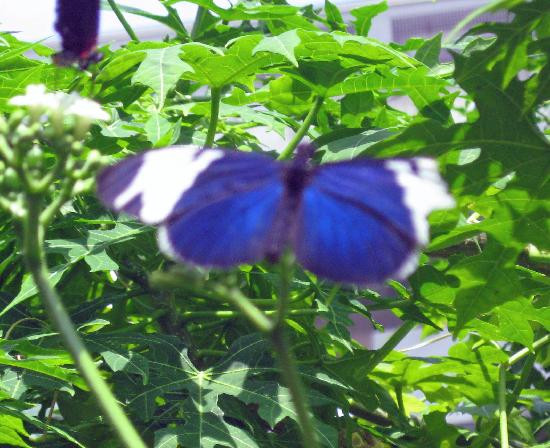 田纳西水族馆-查塔努加必去景点