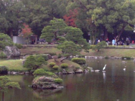水前寺成趣园景点图片