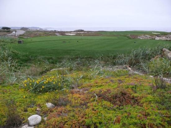 Pebble Beach Golf Links-圆石滩必去景点