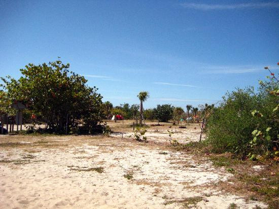 Cayo Costa State Park-Boca Grande必去景点