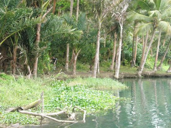 Vanuatu Ecotours-维拉港必去景点