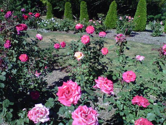 Walnut Hill Park-New Britain必去景点