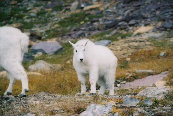 向阳大道-西格拉西尔必去景点