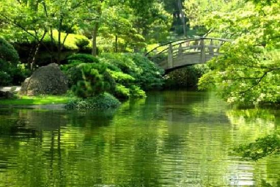 Fort Worth Botanic Garden-沃思堡必去景点